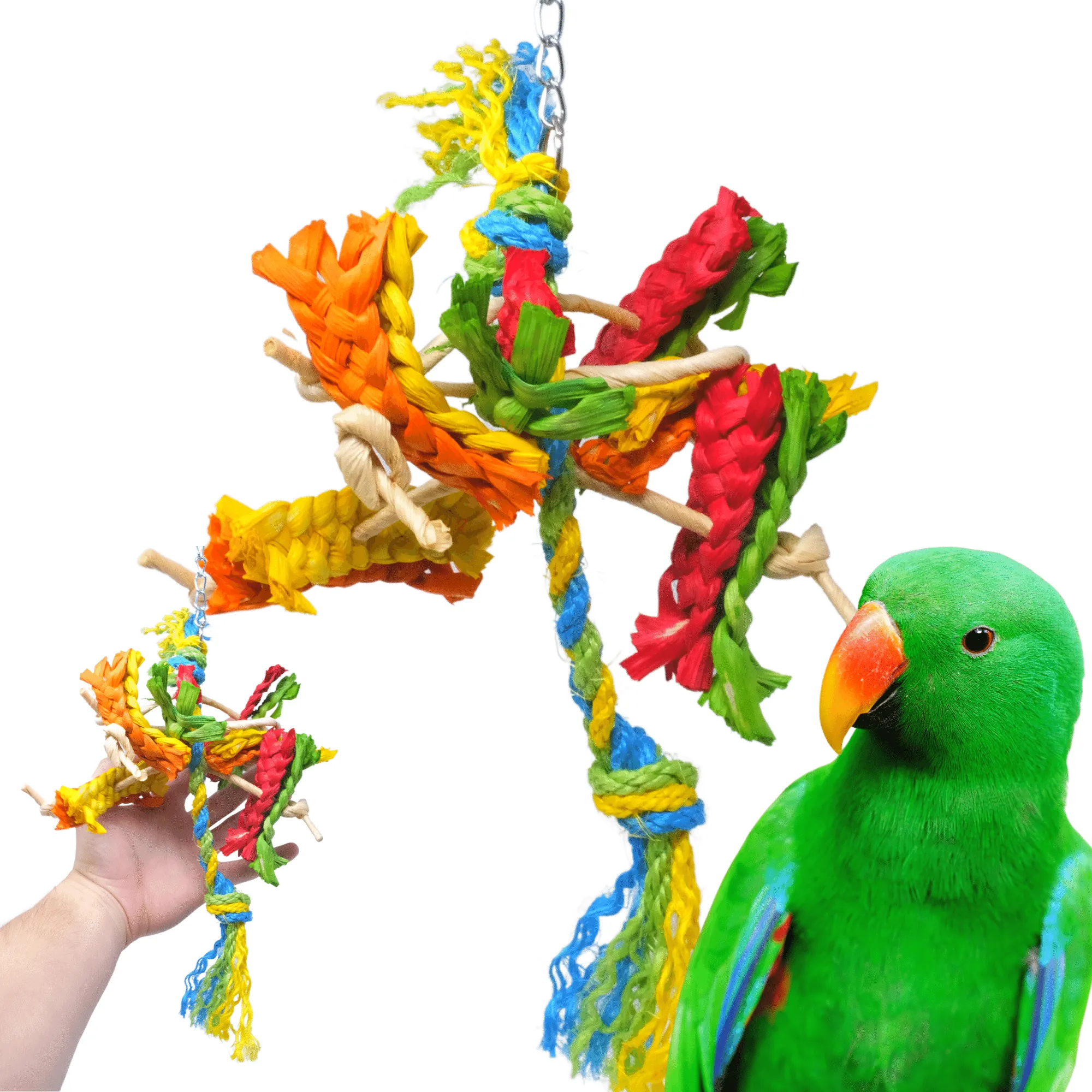 2413 Spiney Carnival Medium Bird Toy