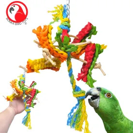 2413 Spiney Carnival Medium Bird Toy