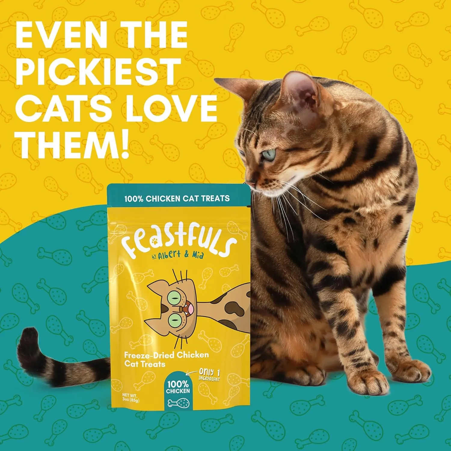 ALBERT & MIA Feastfuls Freeze Dried Cat Treats - 100% Chicken Breast, Only 1 Ingredient, Soft on Sensitive Teeth, High in Protein, Extra Tasty, Great for Training Cats, Made in USA (6oz)