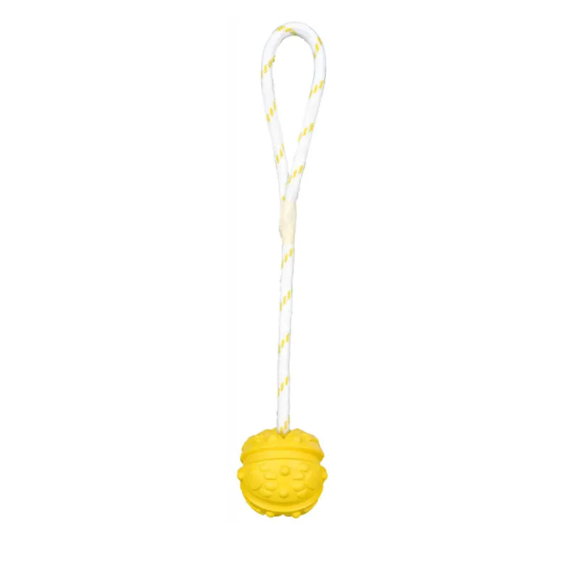 Aqua Dog Toy - Ball on Rope