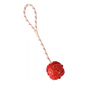 Aqua Dog Toy - Ball on Rope