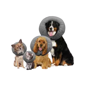 Arlee Pet Comfurt Collar