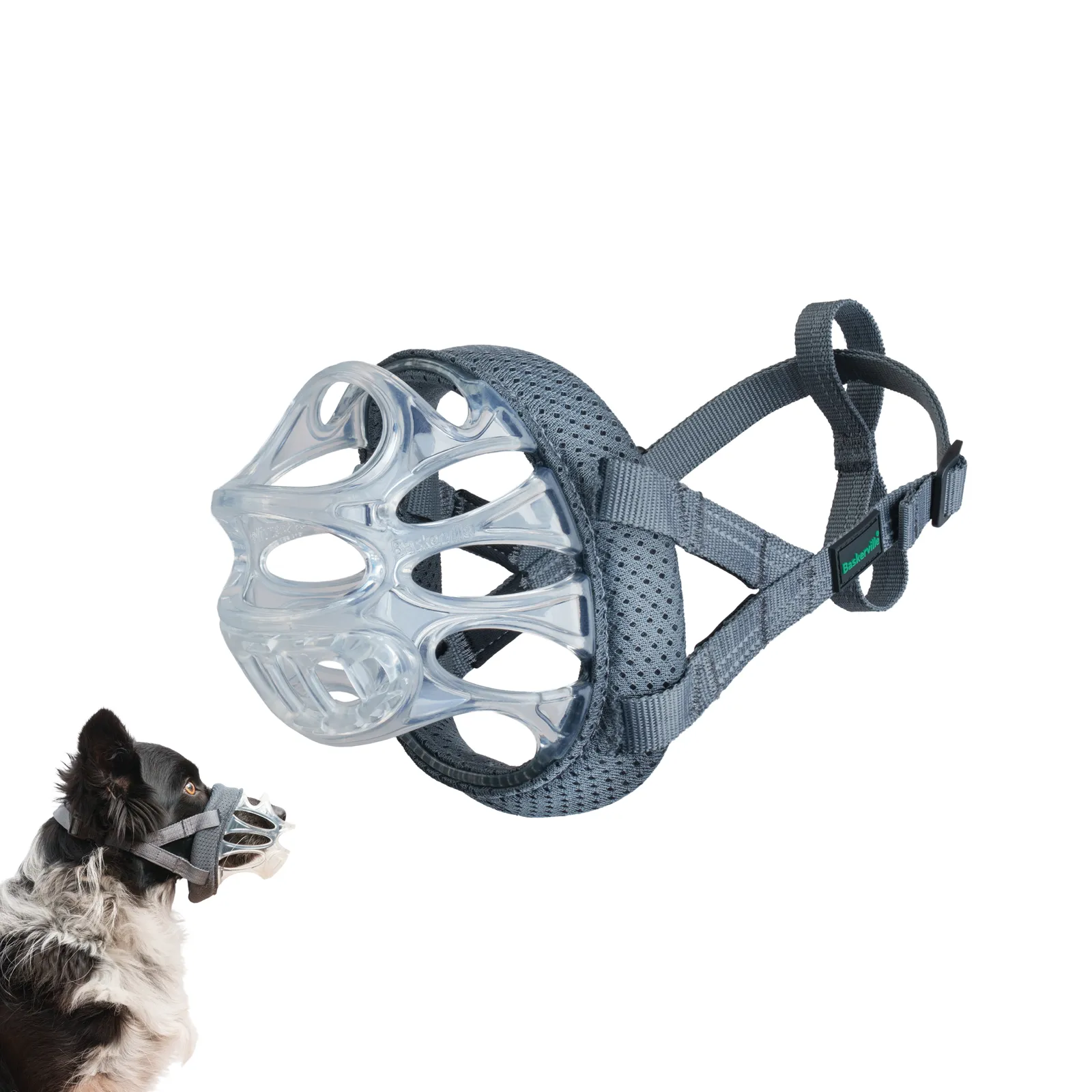Baskerville | Dog Behaviour & Training | Lightweight Basket Muzzle  - INVISA