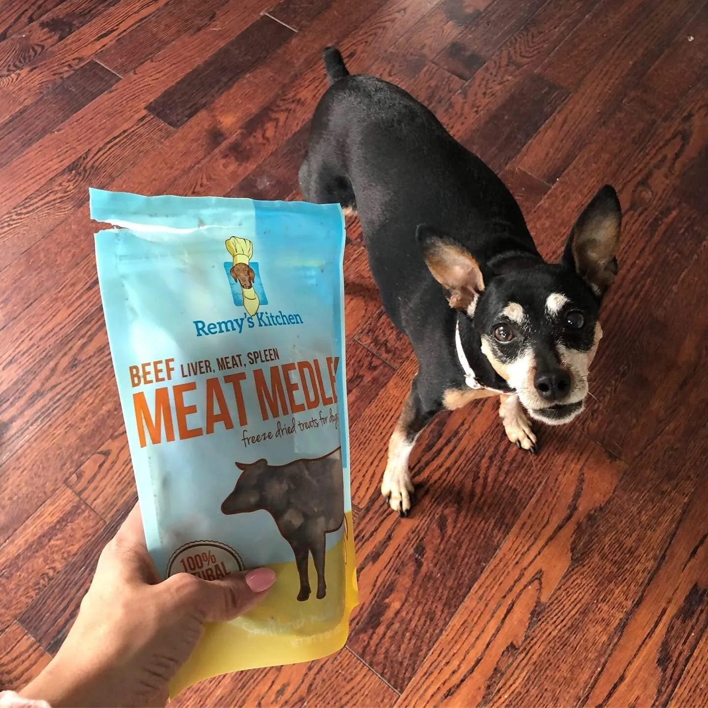 Beef Meat Medley Freeze Dried Dog Treats USA Sourced and Small Batch Made - Human-Grade, All Natural Dog Treats Without Artificial Preservatives, Grain Free - 3 oz