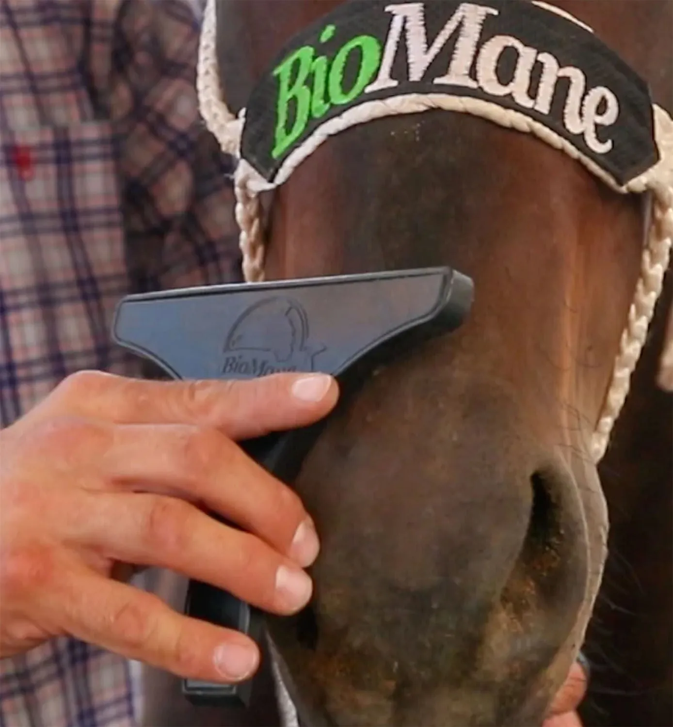 BioMane Horse Grooming Tool