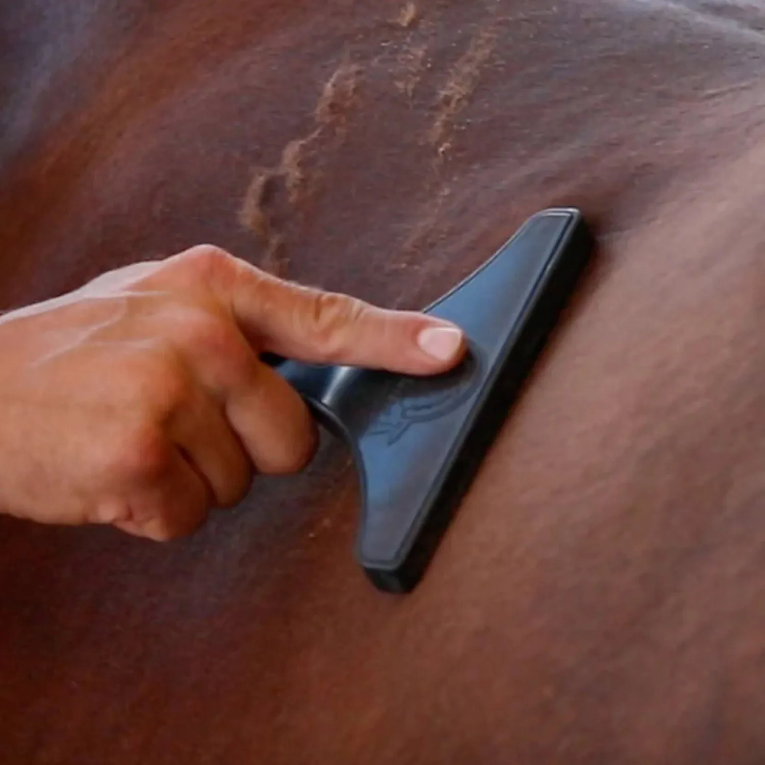 BioMane Horse Grooming Tool
