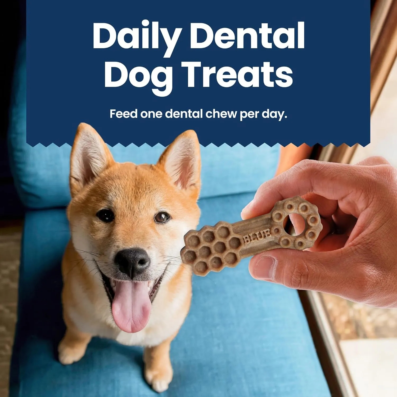 Blue Buffalo Dental Chews Large Natural Dog Treats, Chicken & Spearmint 11-oz Bag (7 Count)