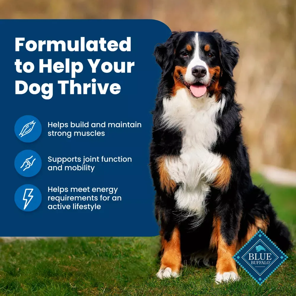 Blue Buffalo Life Protection Formula Natural Adult Dry Dog Food with Chicken and Brown Rice - 15 lbs.