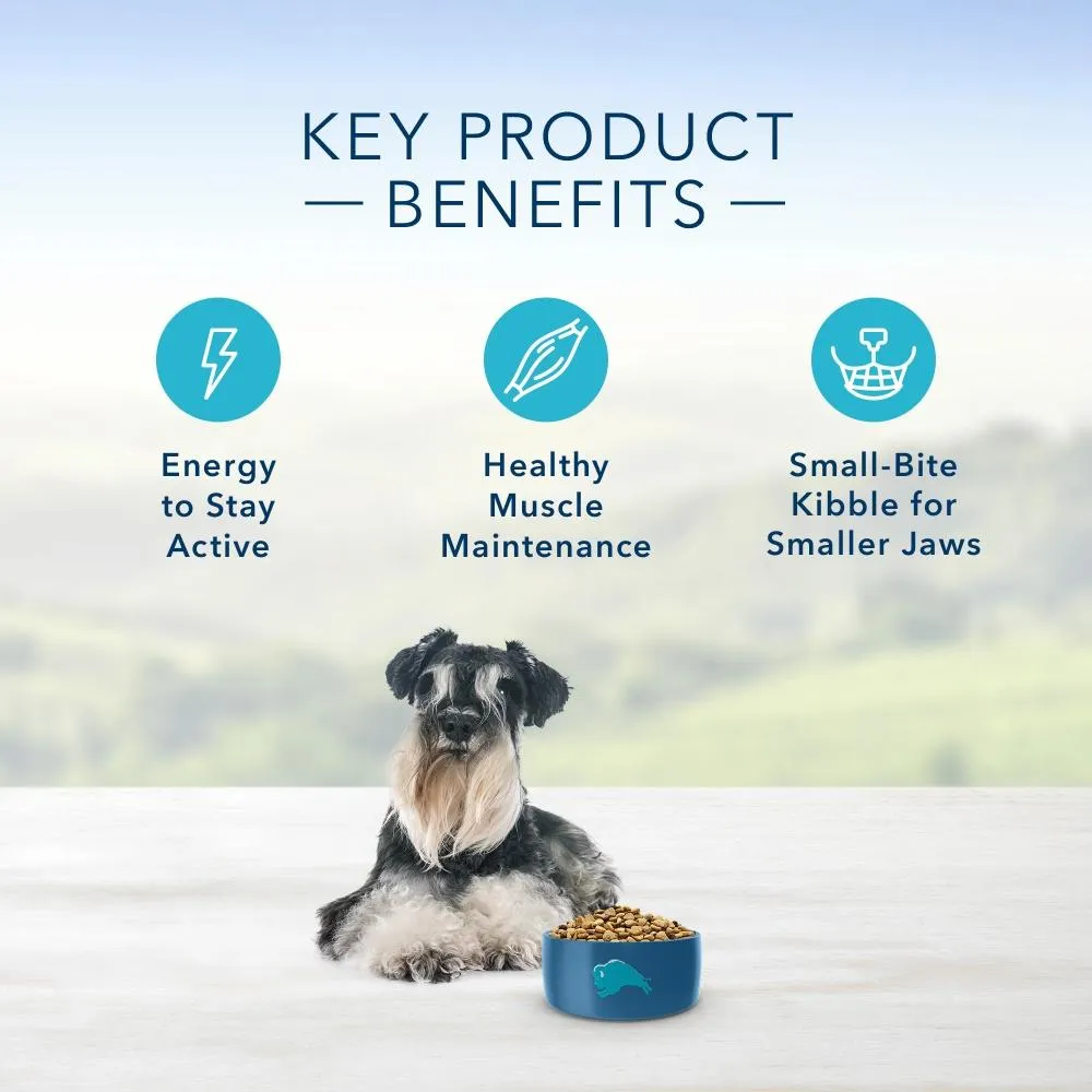 Blue Buffalo Life Protection Natural Chicken & Brown Rice Recipe Small Breed Senior Dry Dog Food