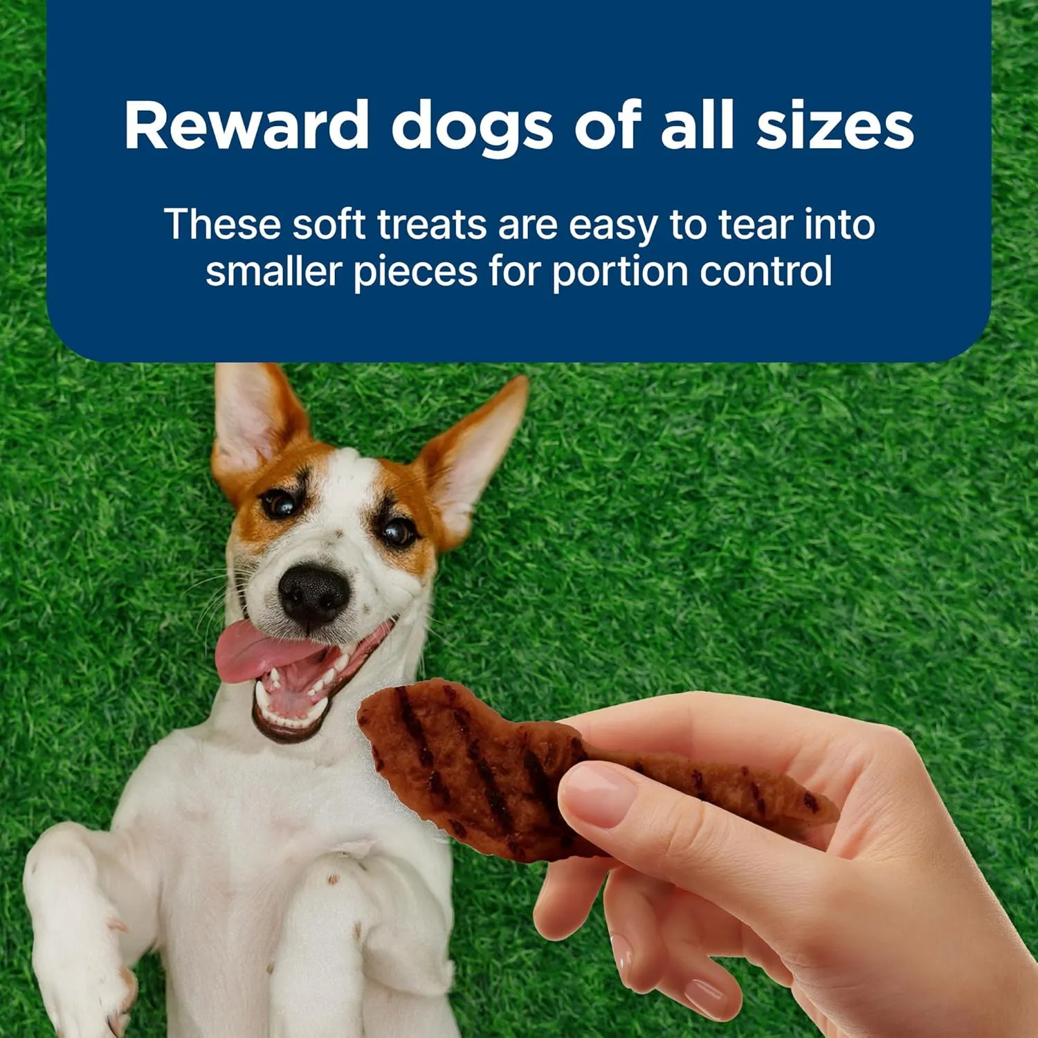 Blue Buffalo Nudges Grillers Natural Dog Treats, Made in the USA with Real Steak, 16-oz Bag