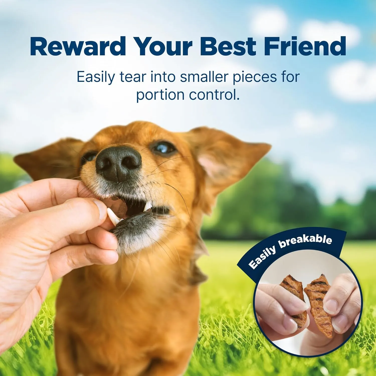 Blue Buffalo Nudges Grillers Natural Dog Treats Made with Real Chicken