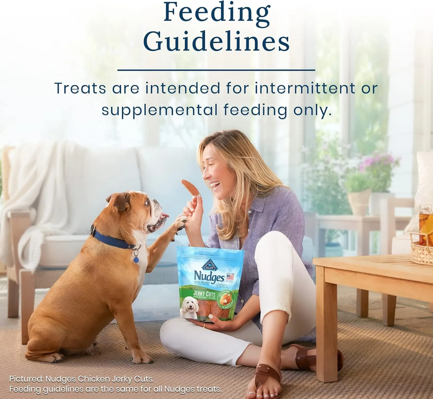 Blue Buffalo Nudges Grillers Natural Dog Treats, Steak, 10oz