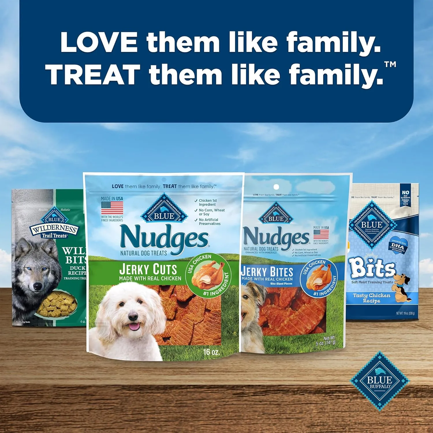 Blue Buffalo Nudges Jerky Bites Dog Treats, Made in the USA with Natural Ingredients, Bite-Sized Pieces, Chicken, 16-oz Bag