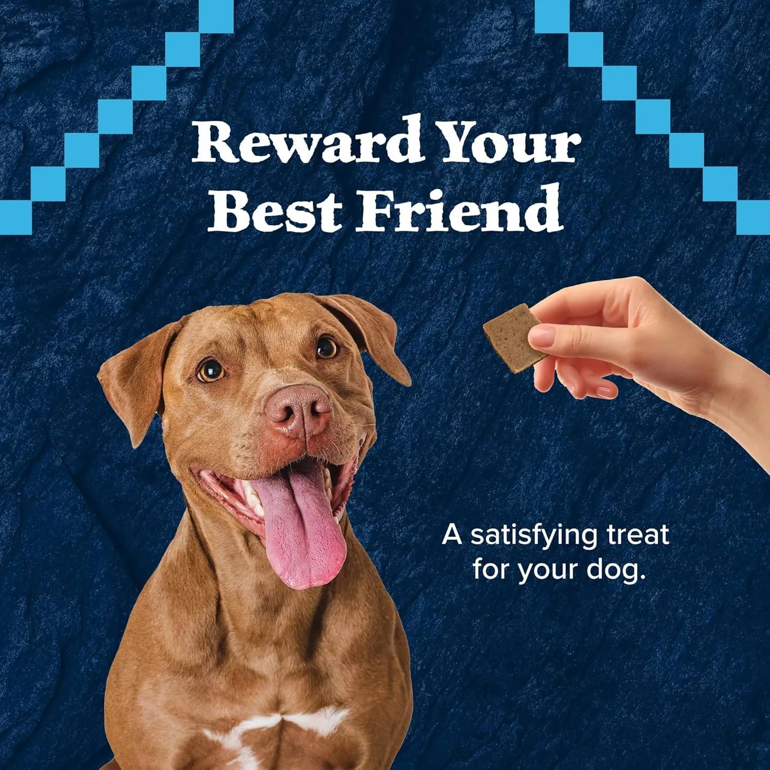 Blue Buffalo Wilderness Grain-Free and High-Protein Dog Treats Made with Natural Ingredients Chicken
