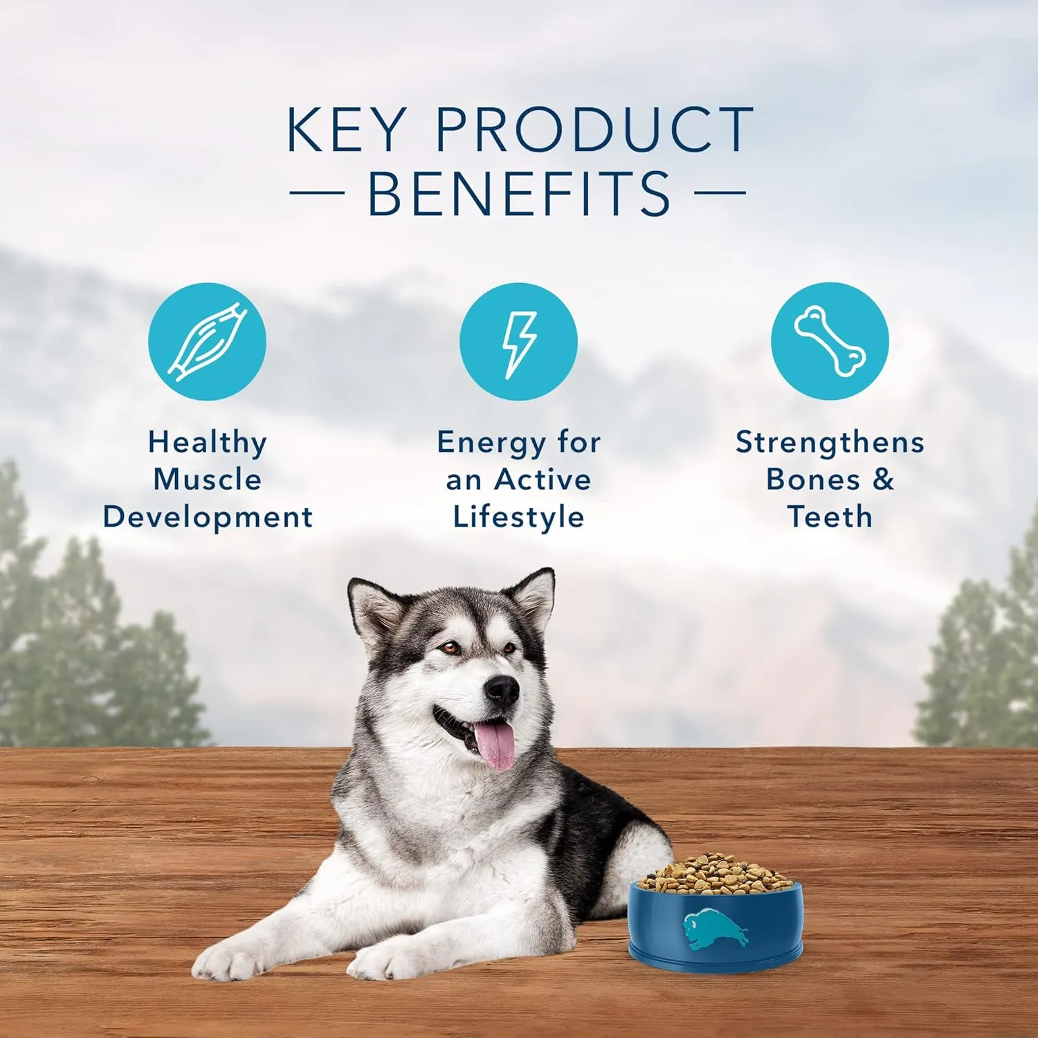 Blue Buffalo Wilderness High Protein Natural Adult Dry Dog Food Plus Wholesome Grains, Salmon 4.5-lb
