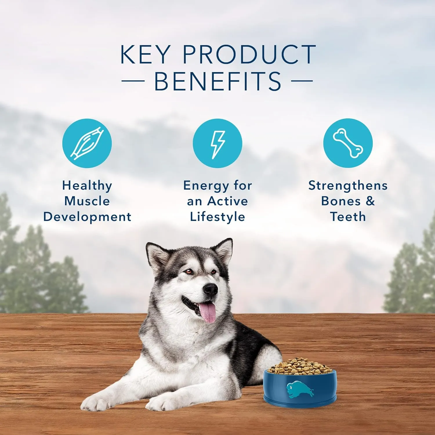 Blue Buffalo Wilderness Rocky Mountain Recipe High Protein, Natural Adult Dry Dog Food, Bison 22-lb