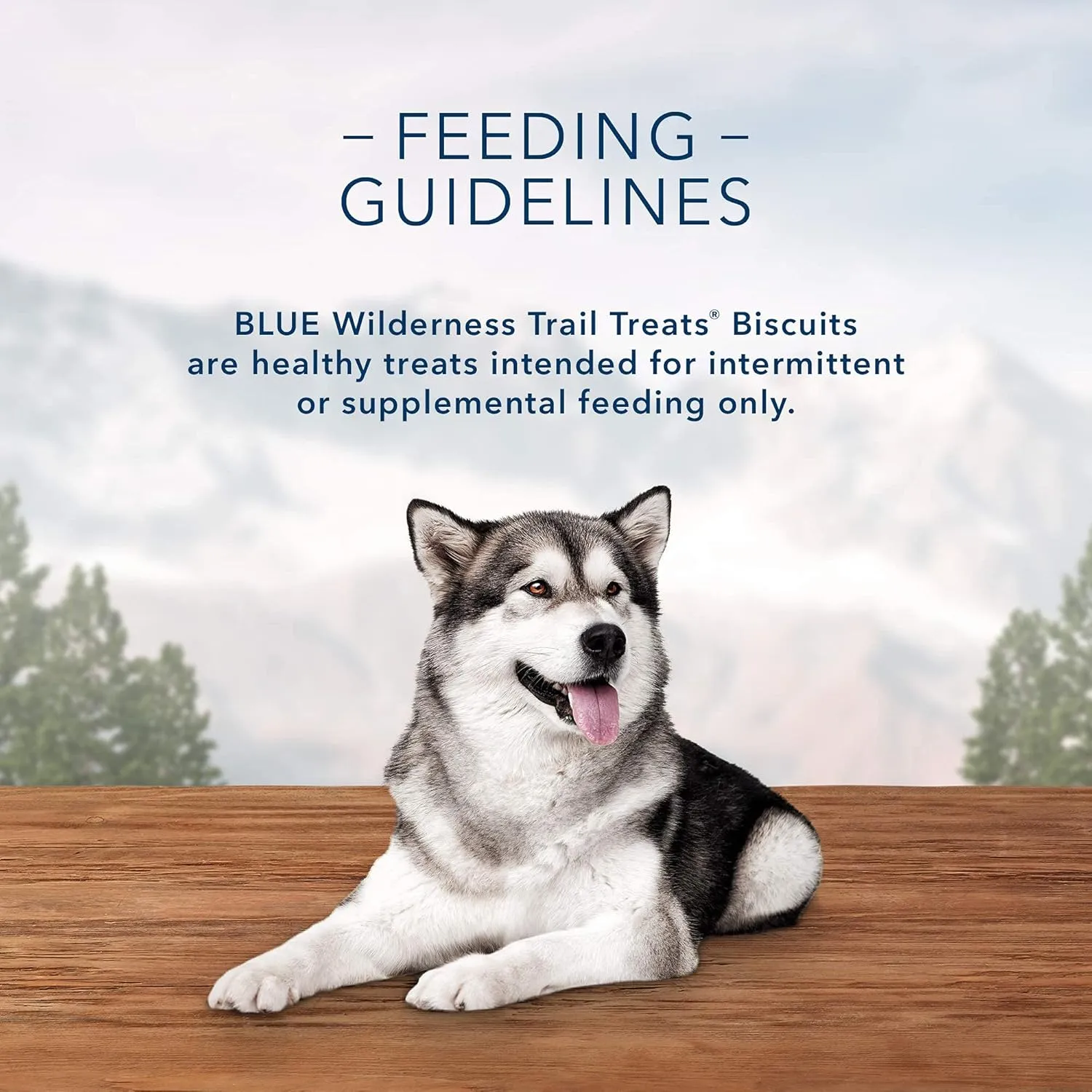 Blue Buffalo Wilderness Trail Treats High Protein Grain Free Dog Biscuits Crunchy Dog Treats, Duck Recipe, 36-oz Box