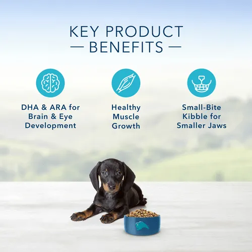 BLUE Life Protection Formula Small Breed Chicken & Oatmeal Recipe Dry Puppy Food, 6lb