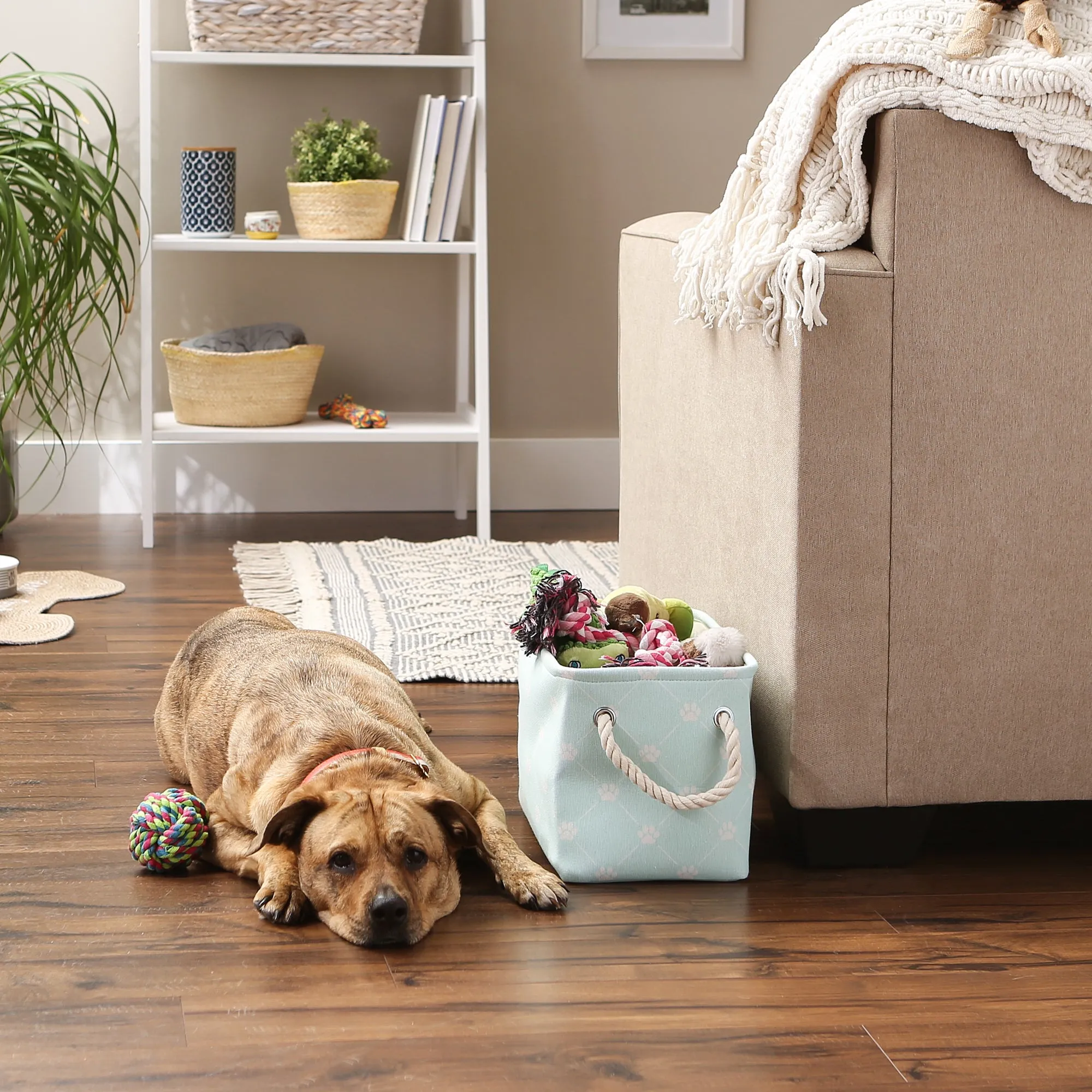 Bone Dry Collapsible Pet Storage Bin, Trellis Paw Print, Aqua, Small - 14x8x9"