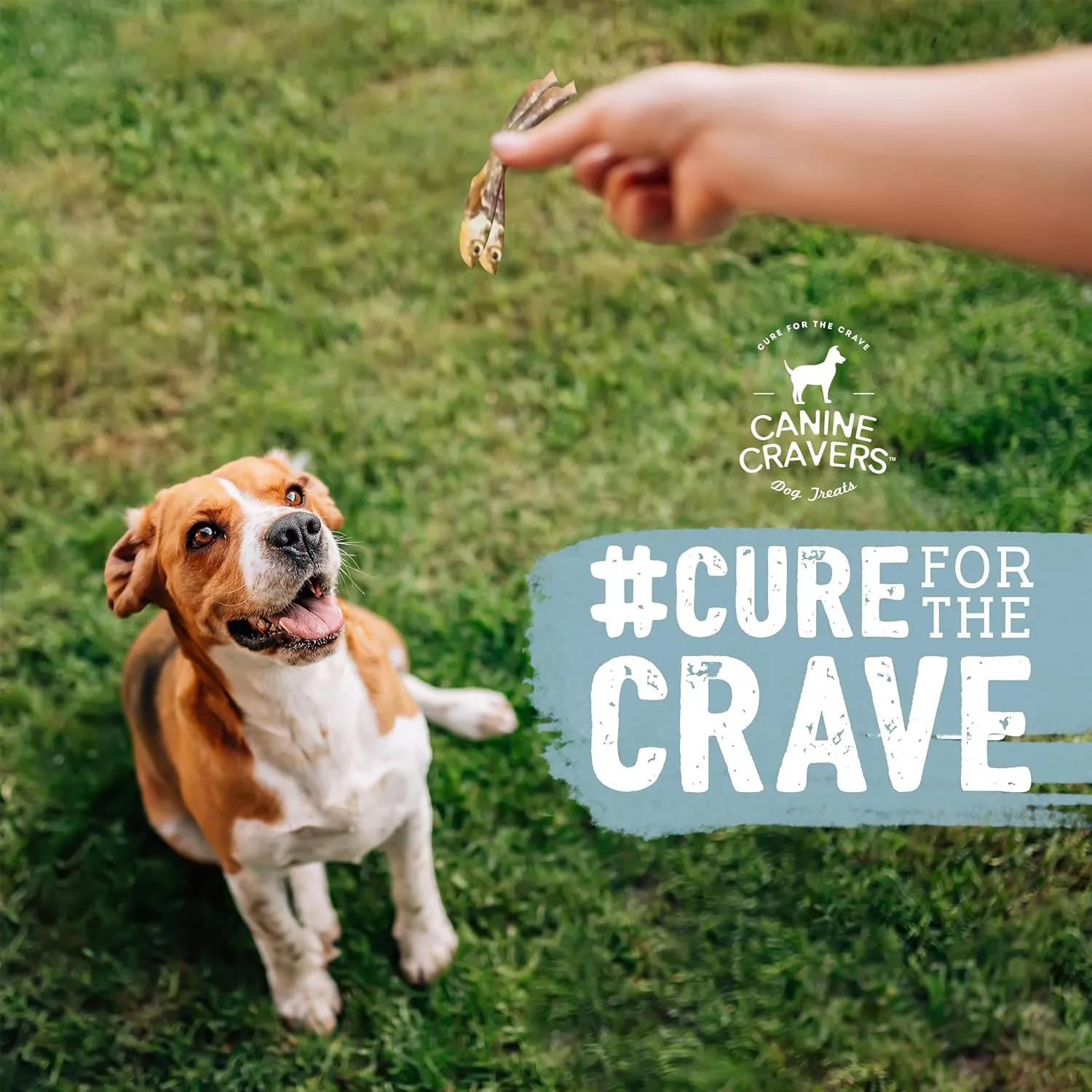 Canine Cravers Single Ingredient Dog Treats  Wild Caught Lake Smelt - Human Grade Air Dried Hypoallergenic Pet Food  Grain, Gluten, and Soy Free  100% All Natural  3 oz