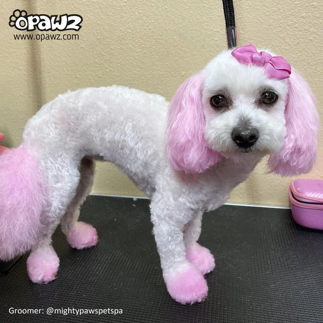 Charm Pink Opawz Permanent Hair Dye