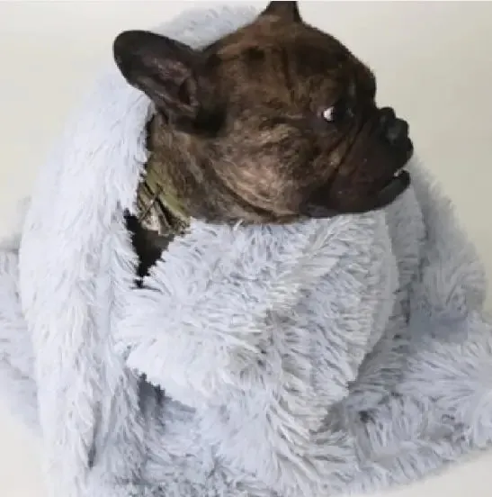 Cozy Pet Blankets - Ultra-Soft, Lightweight, Machine Washable, Various Sizes & Stylish Designs