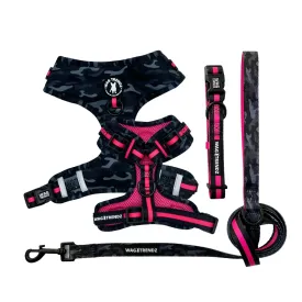 Dog Collar, Harness and Leash Set | Camo Chic (SHēk) Pink