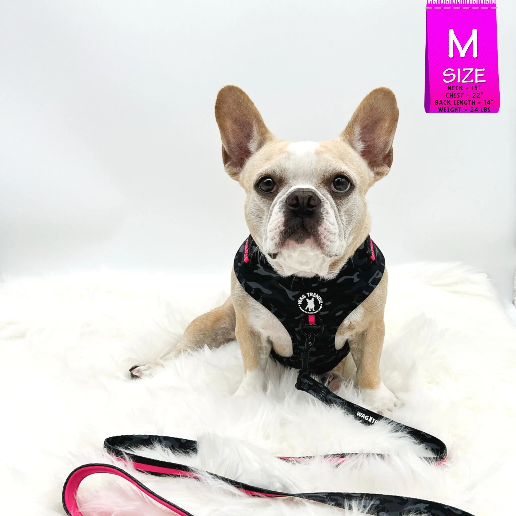 Dog Collar, Harness and Leash Set | Camo Chic (SHēk) Pink