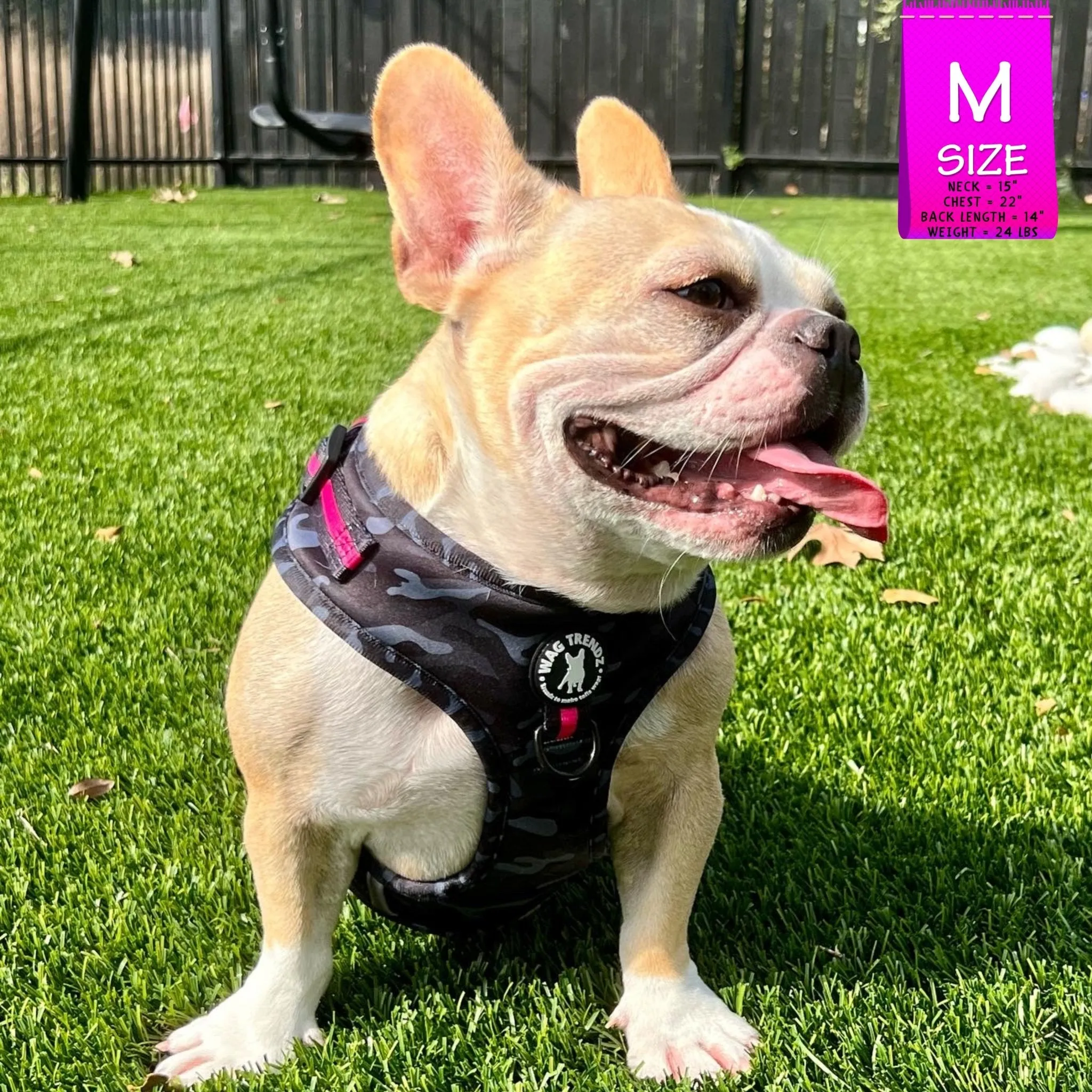 Dog Collar, Harness and Leash Set | Camo Chic (SHēk) Pink