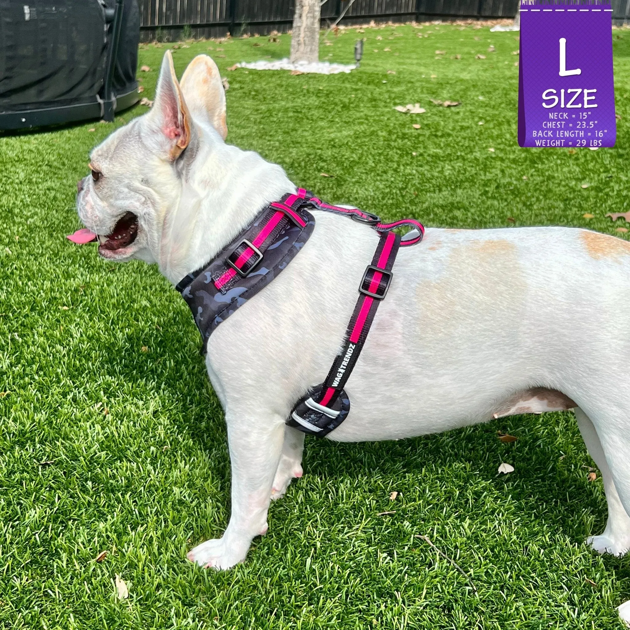 Dog Collar, Harness and Leash Set | Camo Chic (SHēk) Pink
