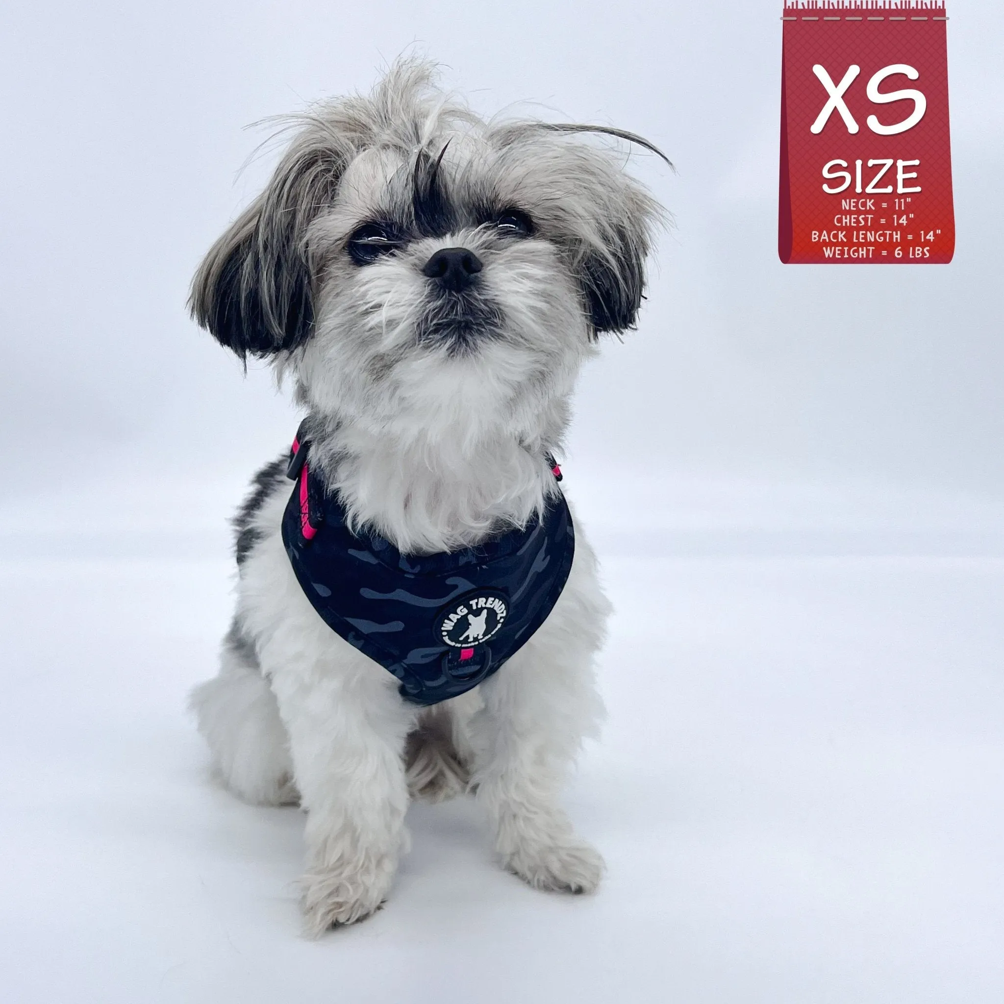 Dog Collar, Harness and Leash Set | Camo Chic (SHēk) Pink