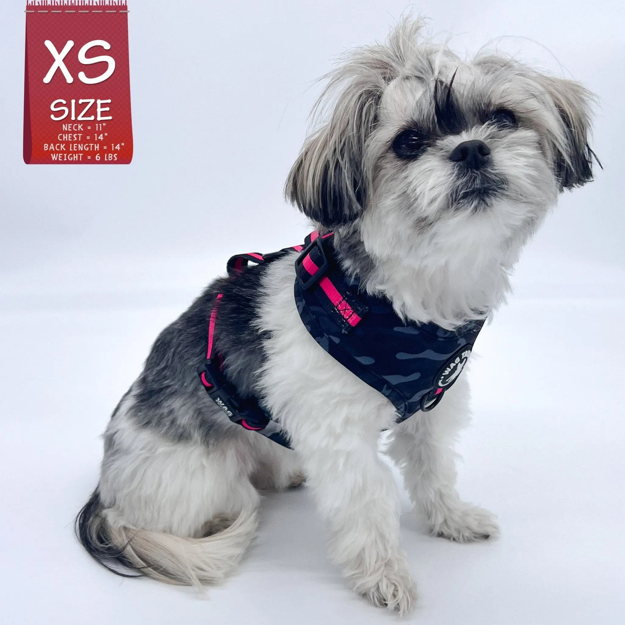 Dog Collar, Harness and Leash Set | Camo Chic (SHēk) Pink
