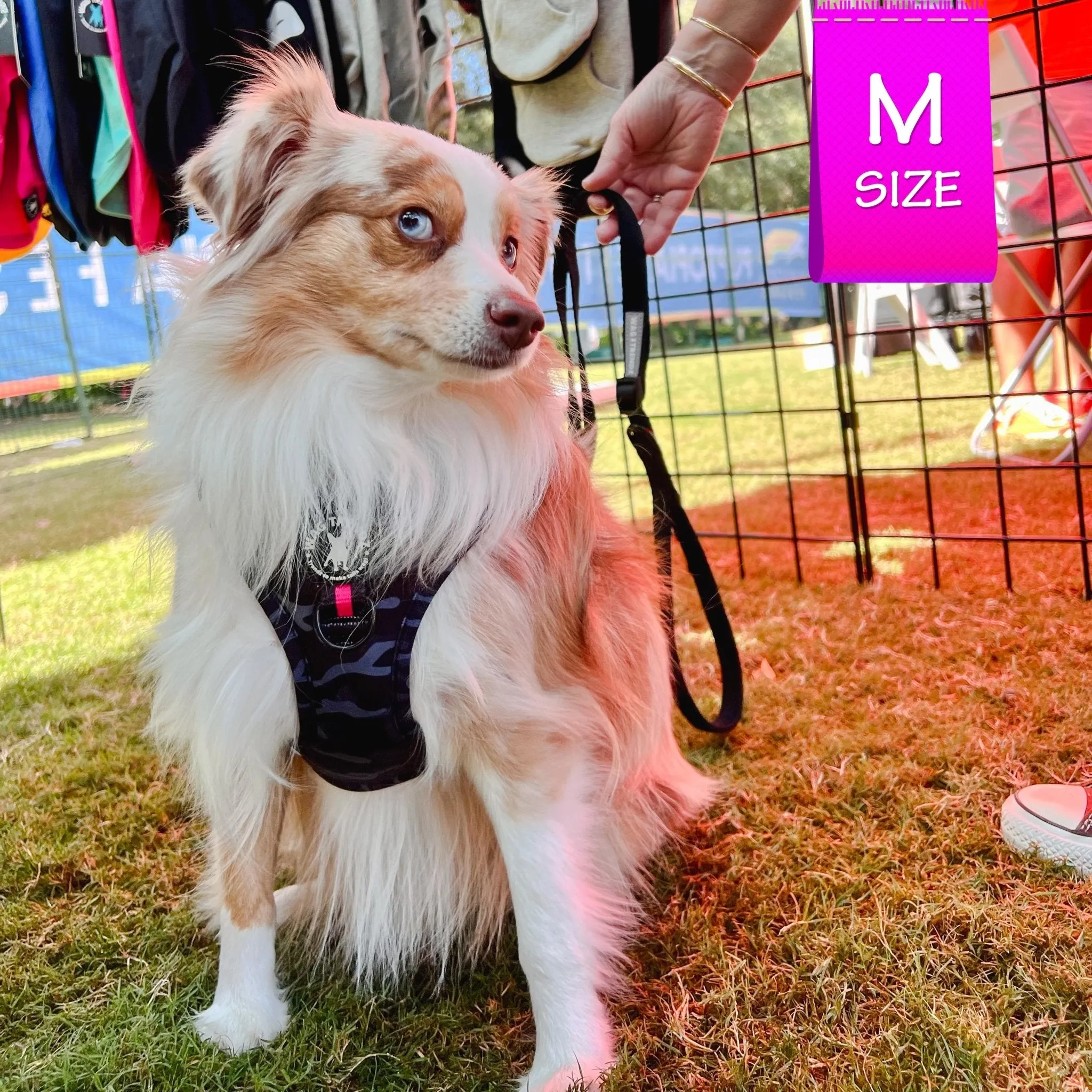 Dog Collar, Harness and Leash Set | Camo Chic (SHēk) Pink