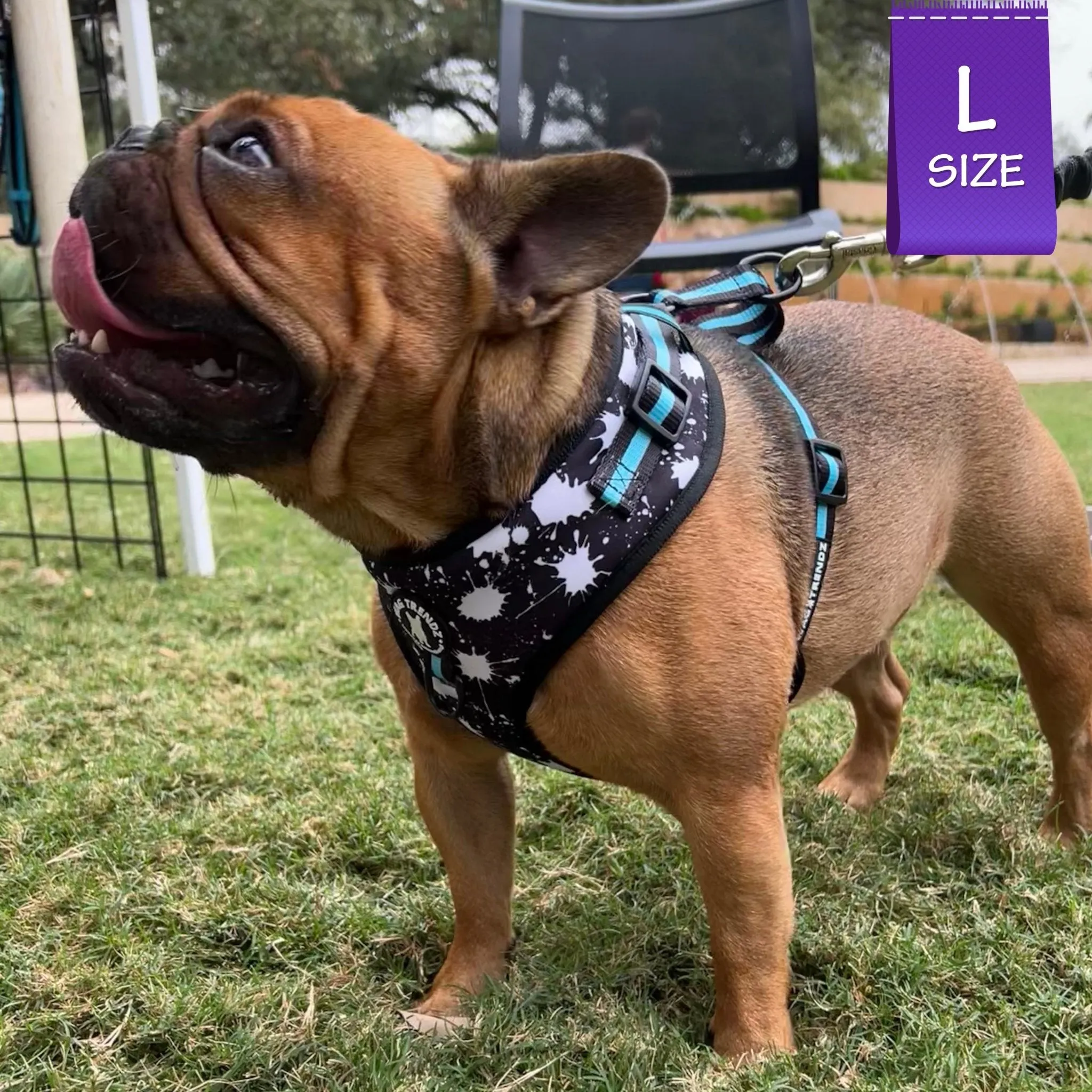 Dog Collar, Harness and Leash Set | Splatter Swagger