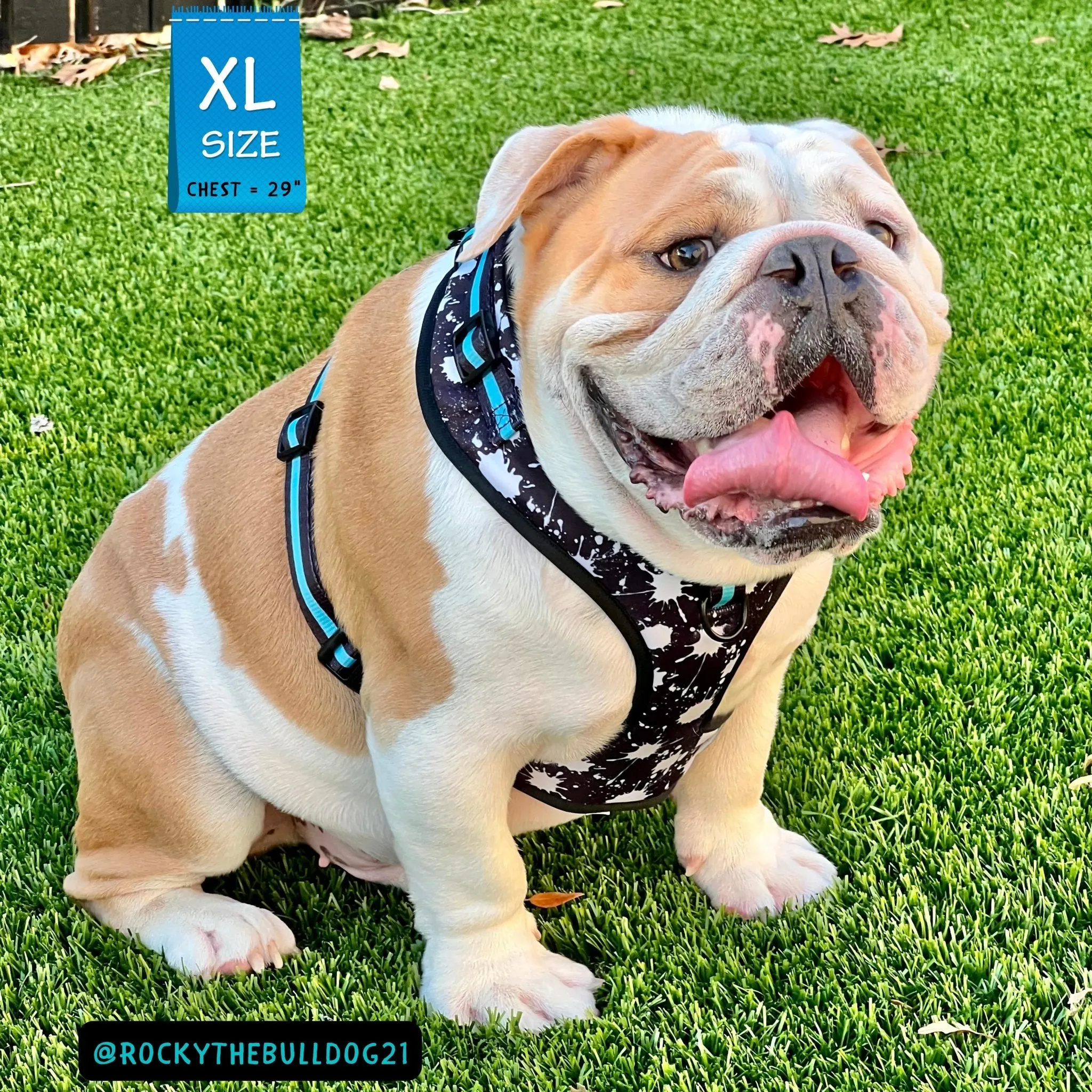 Dog Collar, Harness and Leash Set | Splatter Swagger