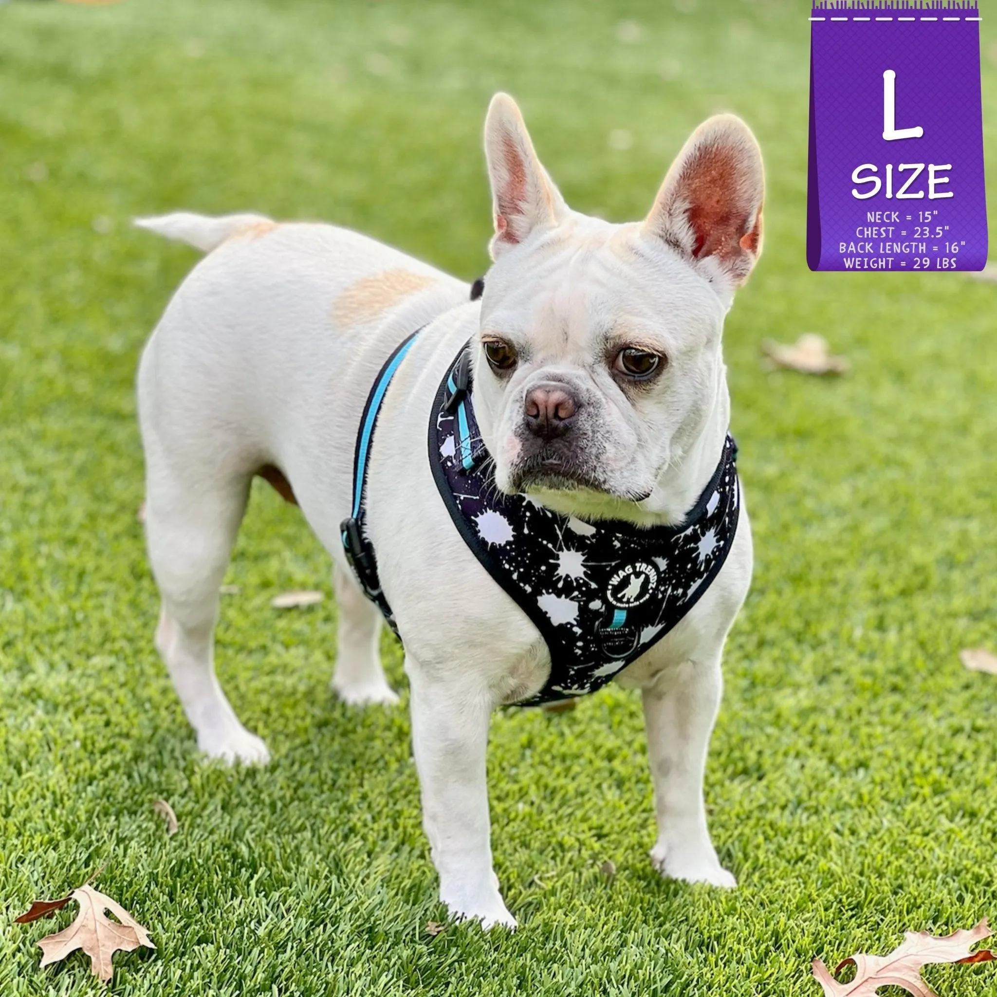 Dog Collar, Harness and Leash Set | Splatter Swagger