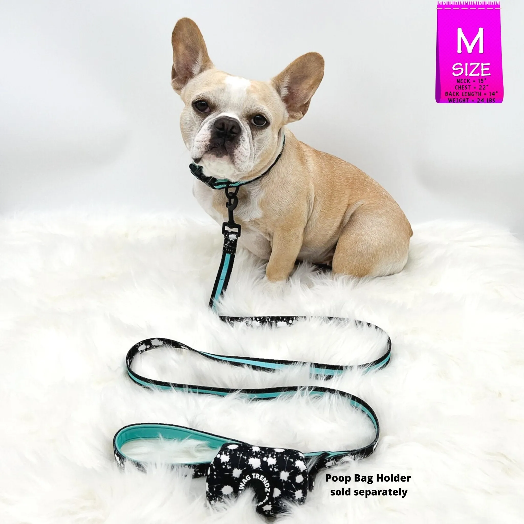 Dog Collar, Harness and Leash Set | Splatter Swagger
