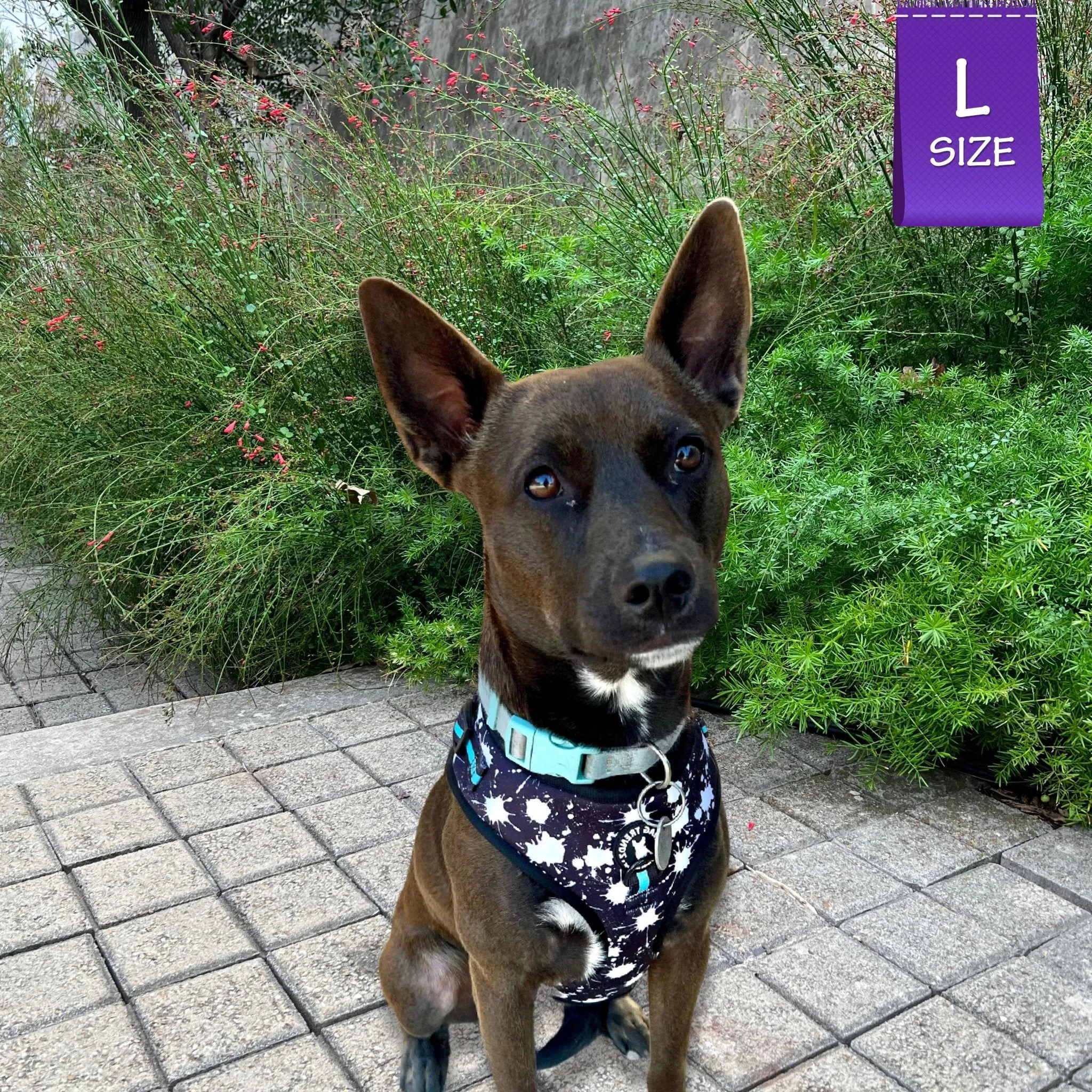Dog Collar, Harness and Leash Set | Splatter Swagger