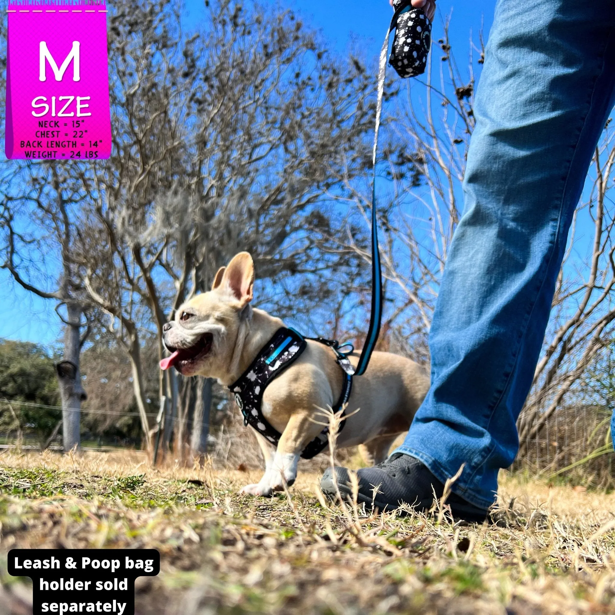 Dog Collar, Harness and Leash Set | Splatter Swagger