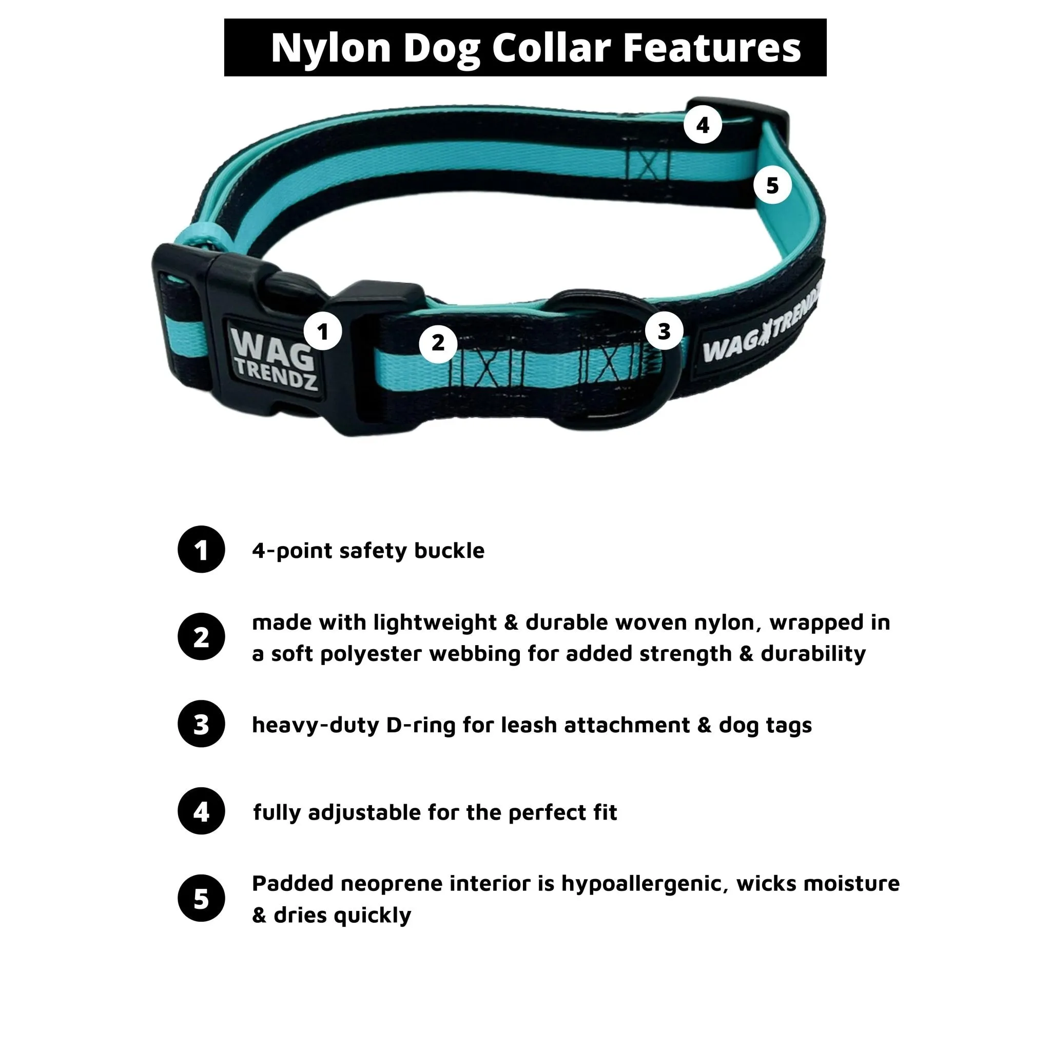 Dog Collar, Harness and Leash Set | Splatter Swagger