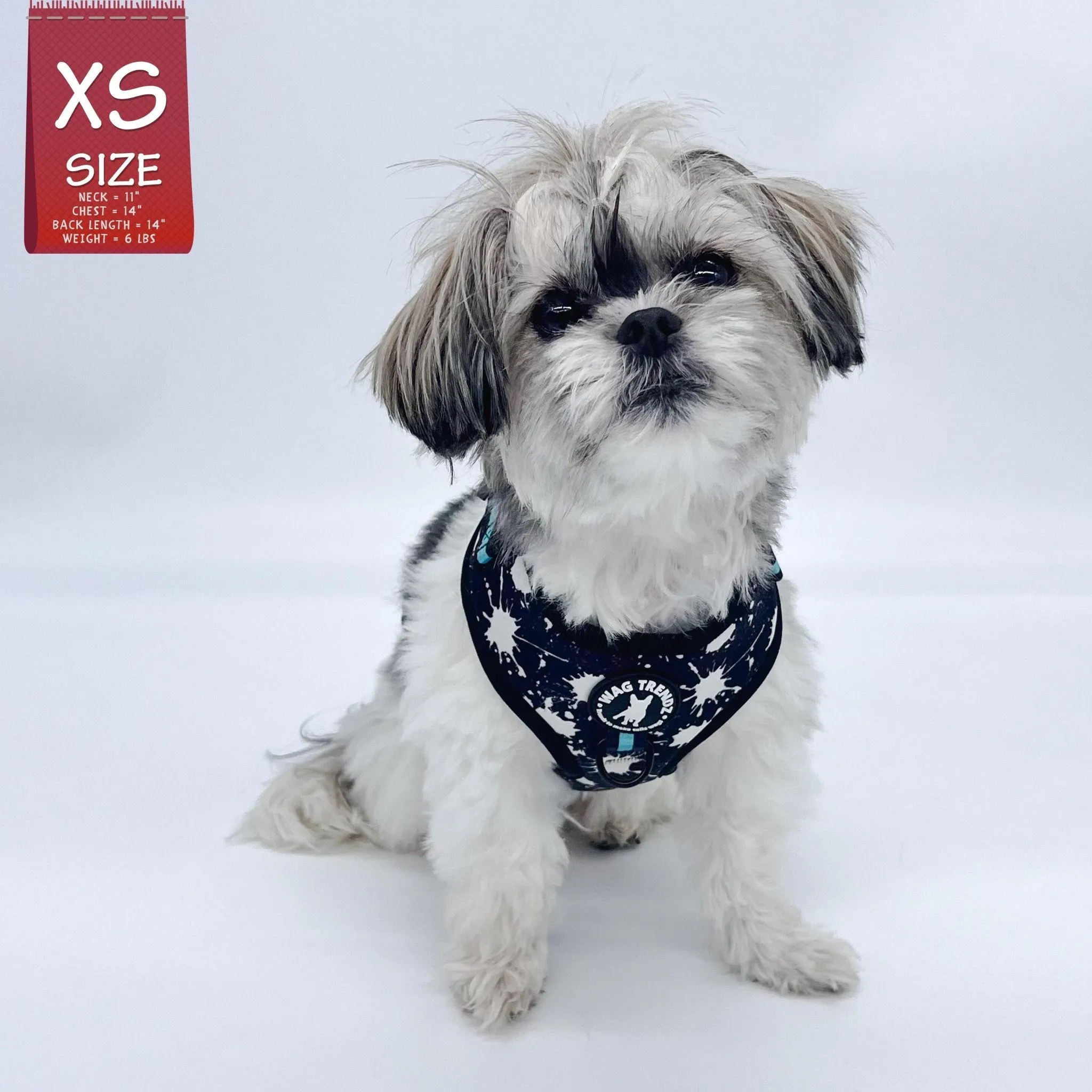 Dog Collar, Harness and Leash Set | Splatter Swagger