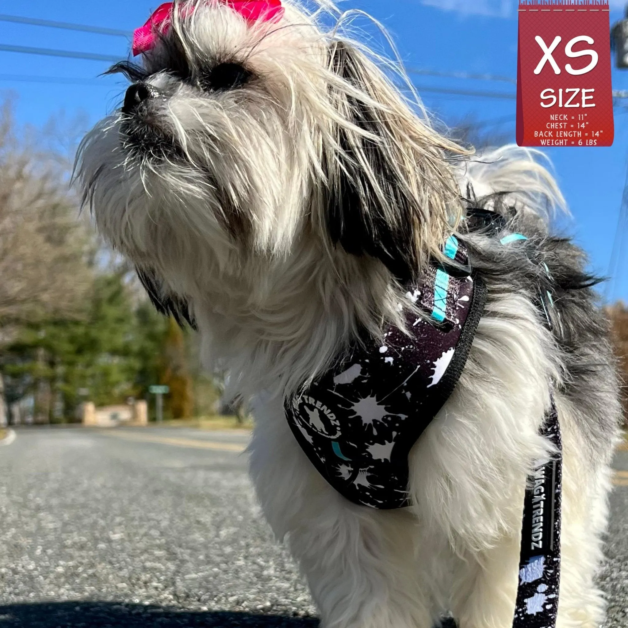 Dog Collar, Harness and Leash Set | Splatter Swagger