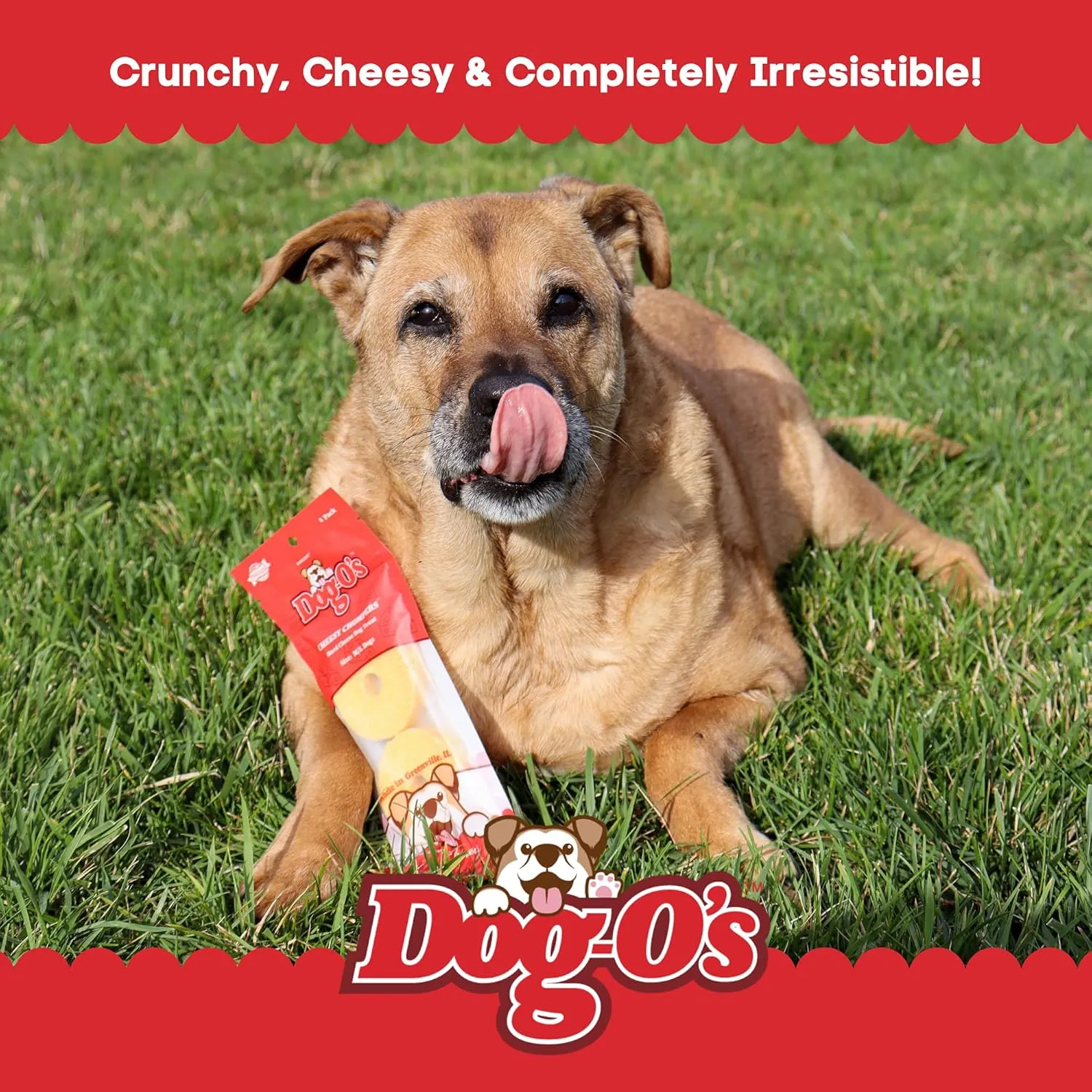 Dog-Os Cheesy Chompers, All-Natural, Made in The USA, Grain Free, Real Cheese Treats for Medium & Large Dogs (Pack of 2 Crunchy Treats)