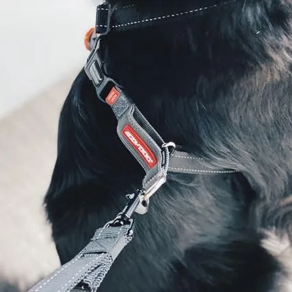 EzyDog Cross Check Training Harness