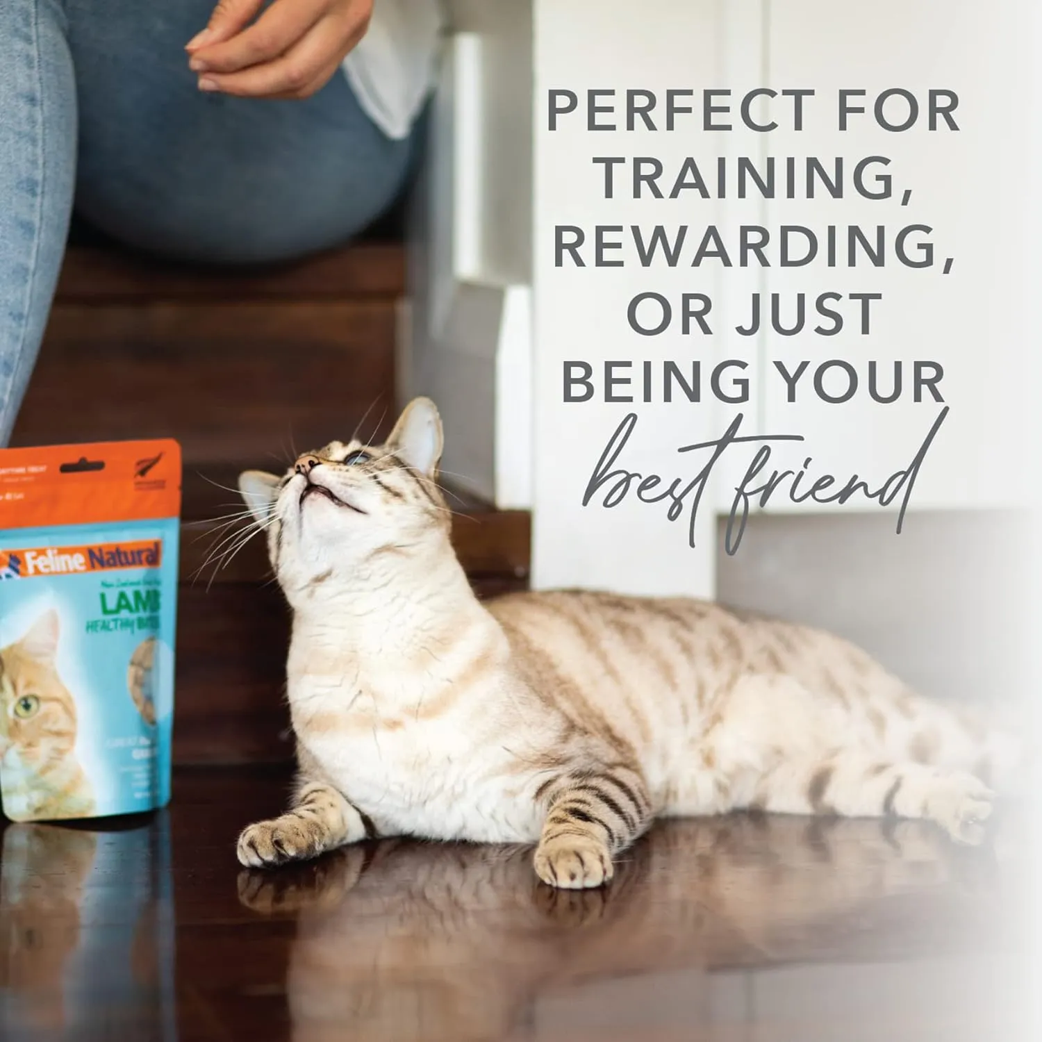 Feline Natural Freeze Dried Cat Treats  Grain-Free, Lamb Flavor, 1.76oz  Natural, Single-Ingredient Snacks from New Zealand