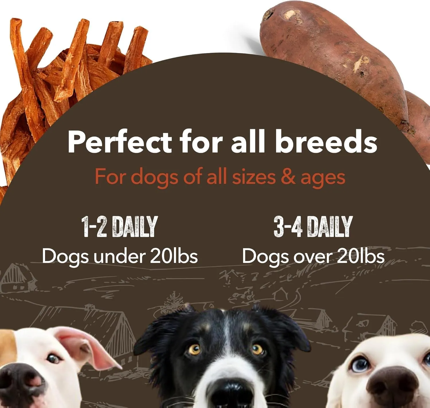 Gaines Family Farmstead Jumbo Sweet Potato Fries for Dogs  14 oz, Chewy Single Ingredient, Grain-Free Dog Treats, Rawhide-Free Chews, High-Fiber Snacks for Training & Rewards, Made in USA