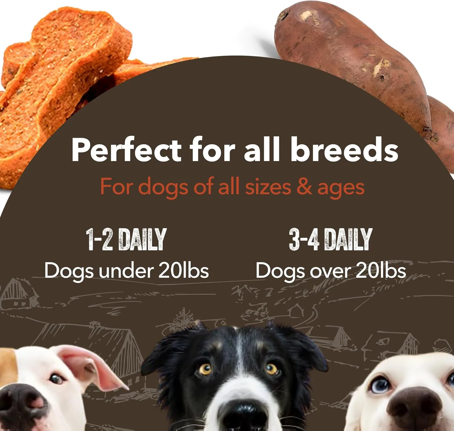 Gaines Family Farmstead Sweet Potato & Peanut Butter Dog Bones  8 oz, Grain-Free, All-Natural Dog Treats for Digestion, Skin, Energy & Immunity  Limited Ingredient, Made in USA