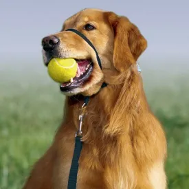 Gentle Leader Dog Head Collar