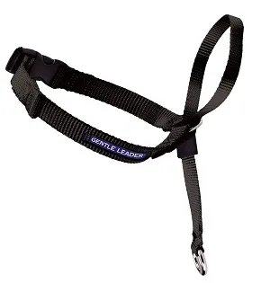 Gentle Leader Headcollar