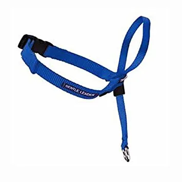 Gentle Leader Headcollar